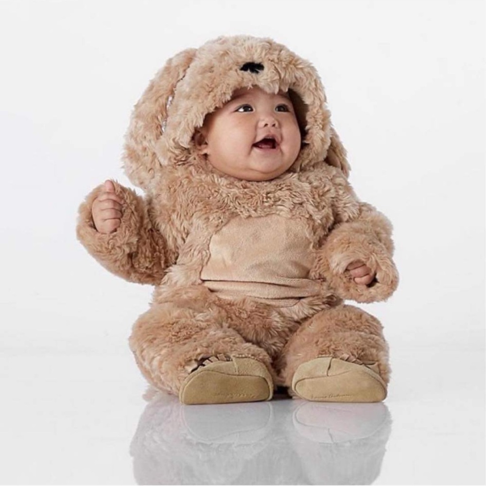 NWT - Pottery Barn Kids Puppy Halloween Costume